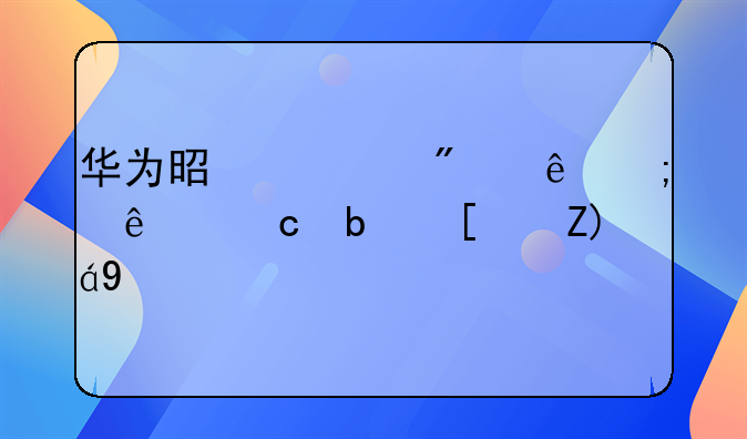 華為是一般納稅人還是小規(guī)模